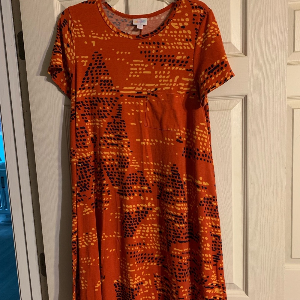 Lularoe medium Carly dress